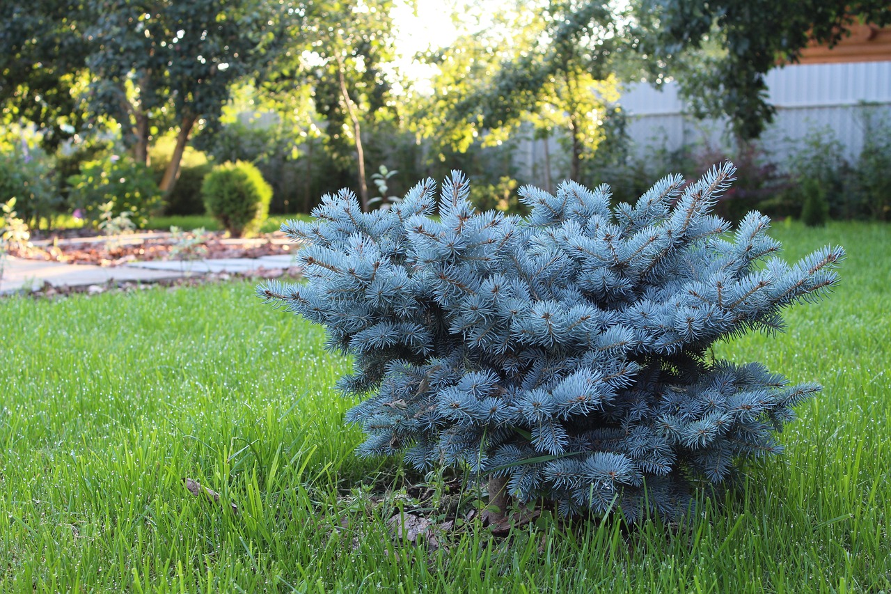 découvrez l'art du landscaping : transformez votre espace extérieur en un havre de paix avec des aménagements paysagers innovants et harmonieux. que ce soit pour un jardin, une terrasse ou un parc, trouvez des idées et des conseils pour embellir vos superficies.